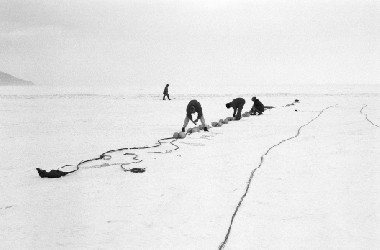 Fiber preparation on the lake, March 1994