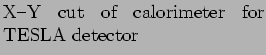 % latex2html id marker 3105
$\textstyle \parbox{0.47\textwidth}{\caption{X--Y cut of calorimeter for TESLA detector
}}$